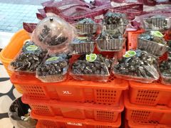 -百果园PAGODA(应元路店)