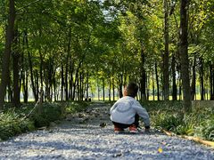 -汉长安城未央宫国家考古遗址公园