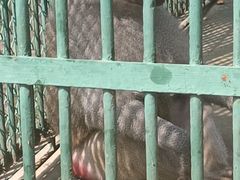 -秦皇岛野生动物园