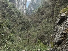 -矮寨·十八洞·德夯大峡谷景区