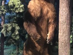 -陕西自然博物馆