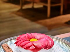 -松赞拉萨林卡酒店