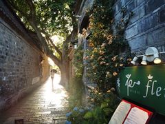 -花·fleur古董西餐厅(西城夜未央店)