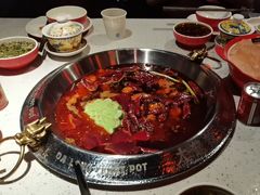 -大龙燚·旷野鲜火锅(广州首店)