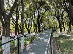 -昆山城市生态森林公园