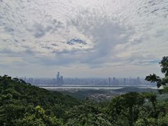 -岳麓山风景名胜区