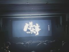 -南国影城(金光华店)