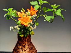 -北京三里屯CHAO酒店