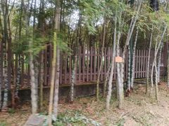 -黄公望隐居地