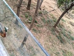 -合肥野生动物园