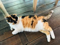 -BUND·FIVE外滩5号(天际店)