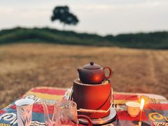 -渭河城市绿地运动公园