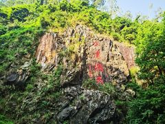 -水濂山森林公园