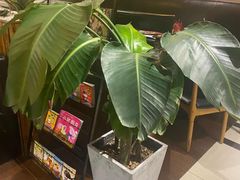 -百特喜·意大利餐厅(八佰伴镇江店)