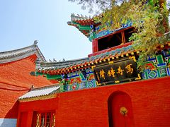 -洛阳白马寺