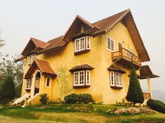 -黄色小屋