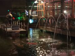 -花溪雨·森林餐厅(石基店)