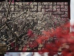 -无锡梅园公园