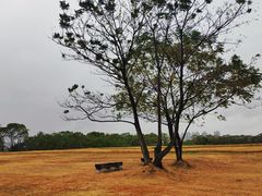 -盘龙城国家考古遗址公园