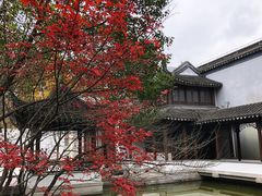 -秋霞圃