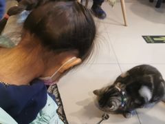 -平行世界·猫咖(首经贸店)