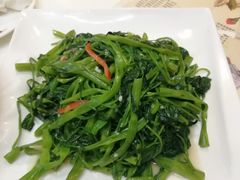 椒丝炒通菜-虾饺妹·酒家(金碧店)