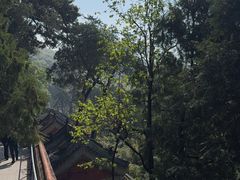 -潭柘寺景区