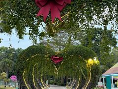 -东南花都花博园