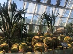 -北京植物园-展览温室