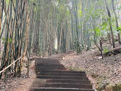 -凤栖山