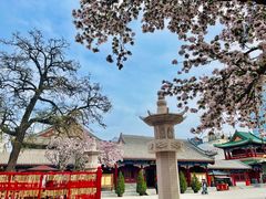 -天津大悲禅院