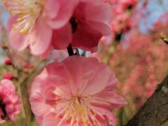 -贵阳市花溪国家城市湿地公园