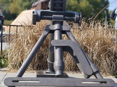 -上海吴淞炮台湾国家湿地公园