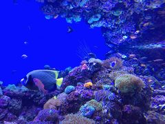 -成都浩海立方海洋公园