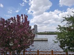 -长白岛森林公园