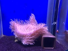 -海合安武汉极地海洋公园