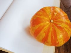 -三忘湖 SWANSEEN(柳荫公园店)