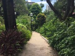 -九龙公园
