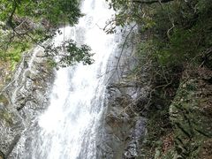 -大余丫山旅游度假区