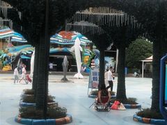 -海合安成都极地海洋公园