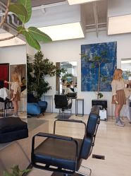 -Hair  Gallery