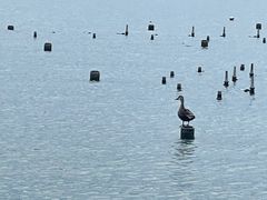 -爱康国宾体检中心(杭州滨江江南大道分院)