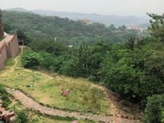 -铁木真自助餐厅(大庆路店)