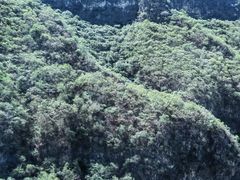 -圣莲山风景区