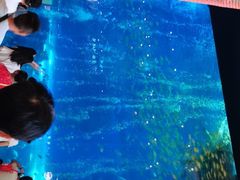 -成都浩海立方海洋公园