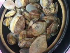 -霞海鸭仔饭店(海滨大道北店)