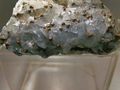 -甘肃地质博物馆