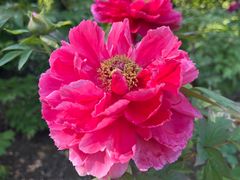 -狼山风景名胜区