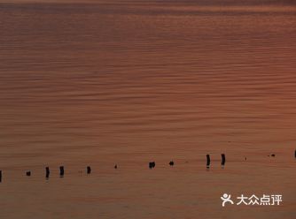 周六的深圳湾公园，虽然知道人会多，但实在没想到人会如