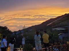 -蘇河湾·新鲁菜·泰山宴(泰山店)
